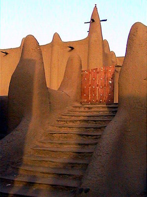 b.mosquée_organique