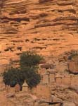maisons