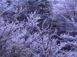AUT_0170