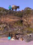 AUT_0645