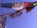 drapeaux